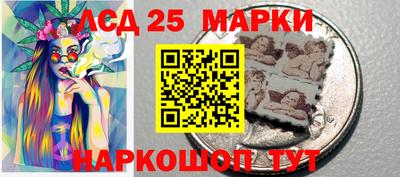 кокс Кандалакша