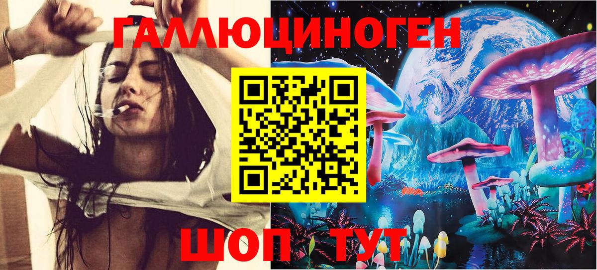 Королёв  Псилоцибиновые грибы мухоморы  Вход с VPN 