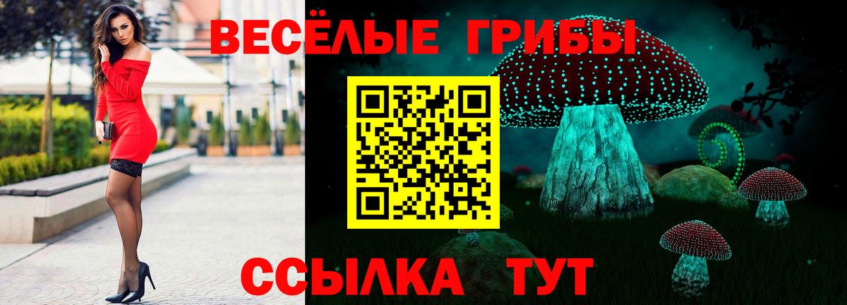 Галлюциногенные грибы прущие грибы Королёв